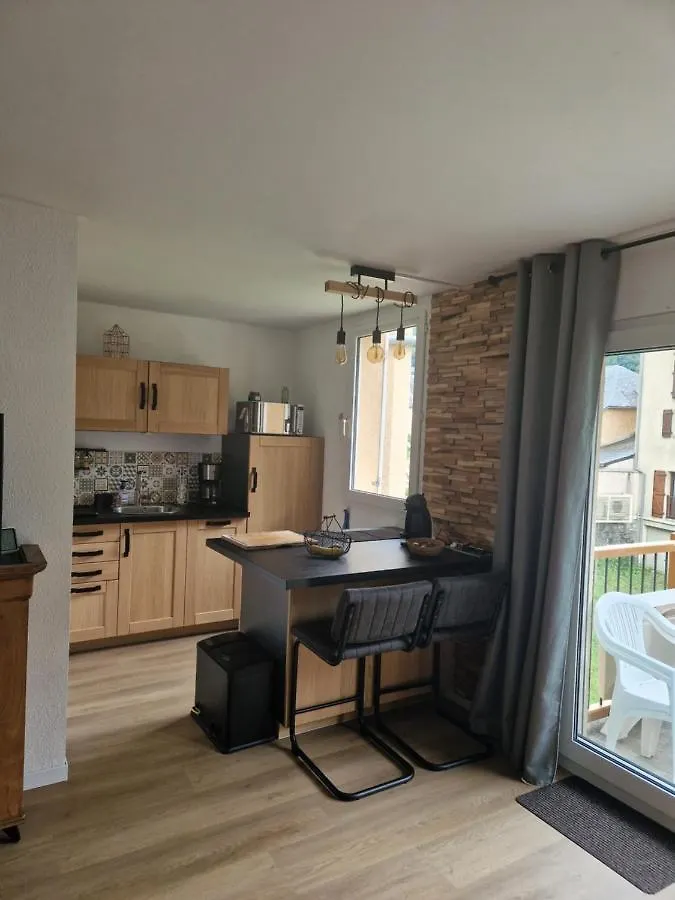 Appartement rénové proche de Luz Saint Sauveur 1chambre et 1 coin cabine Luz-Saint-Sauveur France